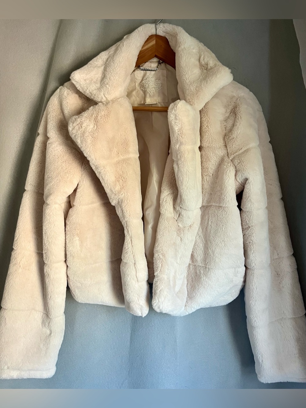 JouJou Faux Fur Jacket Womens M Ivory Cream Plush Cropped Zip Y2K Boho